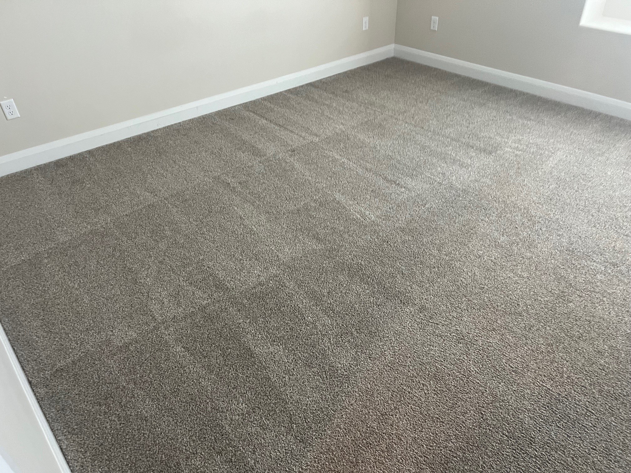 Crisp wand-stripe pattern in freshly extracted carpet.