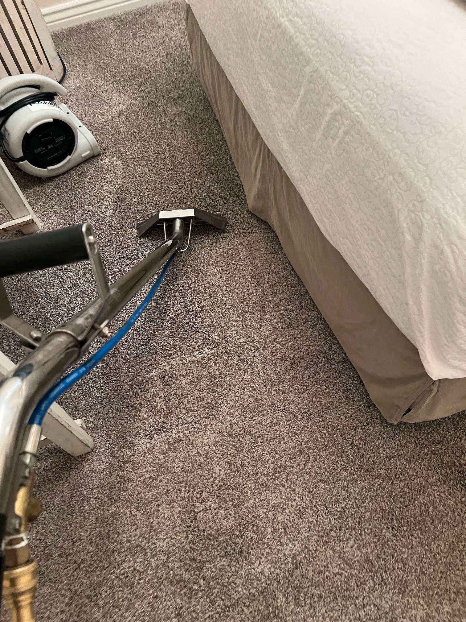 Devon Phillipson cleaning carpet mid-job with truck-mounted extraction.