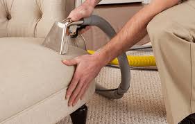 Sofa upholstery being deep cleaned with controlled-moisture extraction.